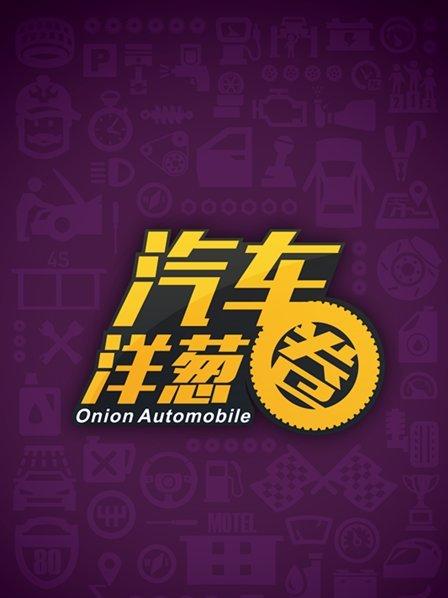 汽车洋葱圈 2015